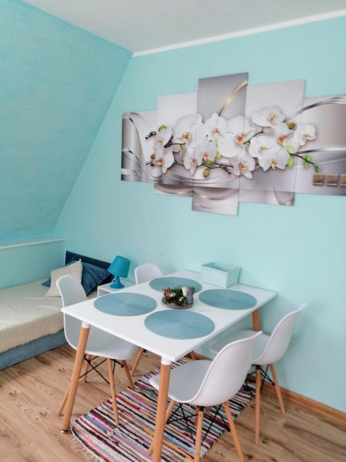 Apartmán Wojtowiczowka Zakopane Exteriér fotografie